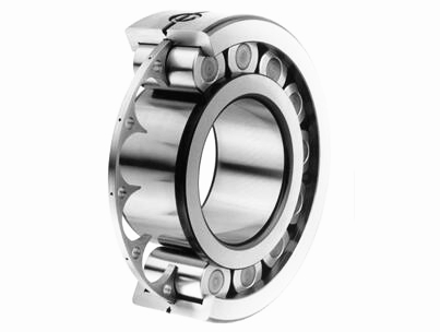 Single Row Full Complement Cylindrical Roller Bearings with Disc Cage